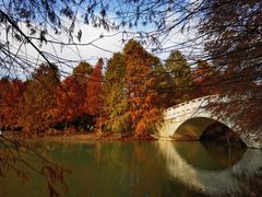 -上海海湾国家森林公园