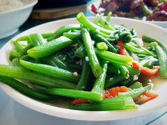 -天乐农家鱼头王(天目湖店)