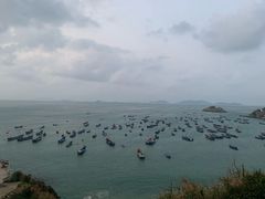 -枸杞岛