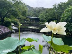 -云溪植物园