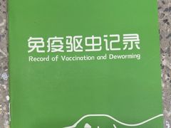 -爱侣宠医·鹦鹉专科·小型哺乳类·异宠专科(灵石路店)