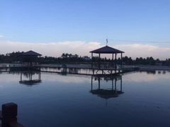 iphone_upload_pic-成都美盈都市现代农业示范园