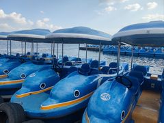 -长春市南湖公园