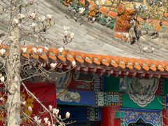 -碑林公园