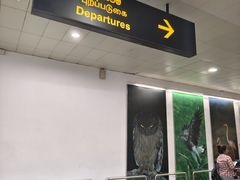 -班达拉奈克国际机场