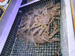 -开海·红岛海鲜虾水饺(石老人店)