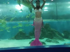 -苏州海洋馆