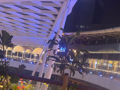 -润园四季椰子鸡火锅(海上世界店)
