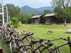 -泉州海丝野生动物世界
