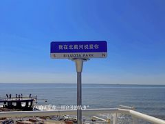 -北戴河碧螺塔海上酒吧公园