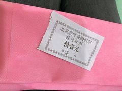 -北京观赏动物医院·24小时大型综合·猫专科·异宠专科
