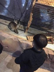 -酷嗒动物文化乐园(cutezoo西溪乐天城店)