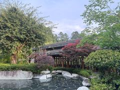 -和顺柏联温泉