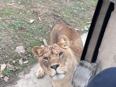 -西安秦岭野生动物园