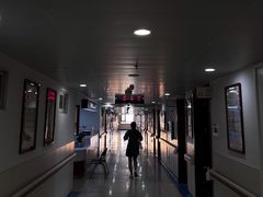 -复旦大学附属眼耳鼻喉科医院(浦江院区)