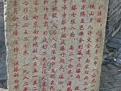 -上海佘山国家森林公园天马山园