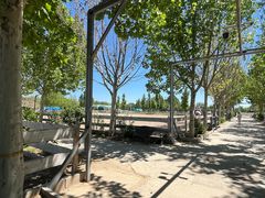 -北京群众马术培训基地