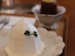 白色巨塔-Ginko银子(青龙街店)