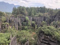 -梭布垭石林景区