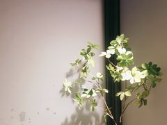 -巴厘龙虾·榜首油焖大虾(洞庭·艺术洋房店)