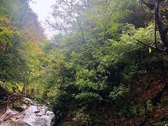 -太湖源风景区