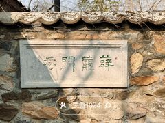 -国家植物园
