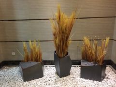 -广州船舶酒店(太古仓店)