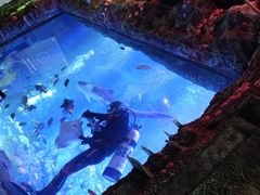 -沈阳海洋探索中心