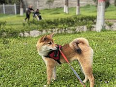 -华夏文旅西安度假区