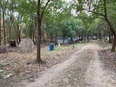 -崇明岛拓展训练真人CS镭战基地