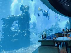 -海棠湾洲际-涛·海底餐厅·美人鱼·自助餐·海底隧道