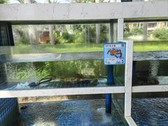 -宴悦海鲜餐厅·游水海鲜·牛排(亚龙湾瑞吉店)