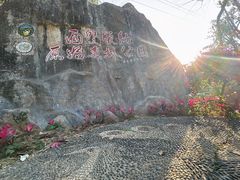 -西双版纳原始森林公园