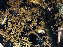 -徐家汇源景区-衡山坊