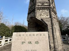 -上海佘山国家森林公园天马山园