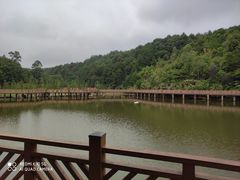 -神光山国家森林公园