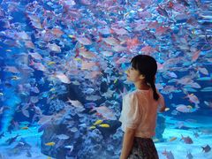 -成都浩海立方海洋公园