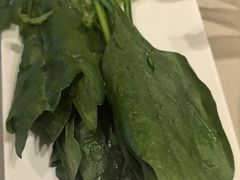 -蝎王府羊蝎子(西直门店)