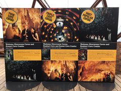 -怀托摩萤火虫洞