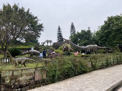 -自贡恐龙博物馆