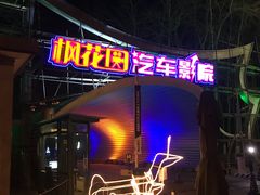 -枫花园汽车电影院(朝阳公园店)
