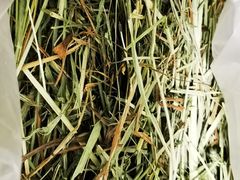 -龙猫仔乐园(惠福东路店)