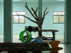 -盐城大丰港动物园