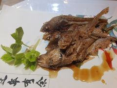 -田园·晶品会(鹤庆路店)