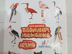 -广州长隆飞鸟乐园