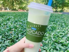 活力羽衣甘蓝牛油果酸奶饮-Blueglass酸奶(财富购物中心店)