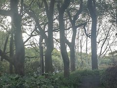 -徐家汇源景区-衡山公园