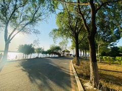 -丁香湖公园