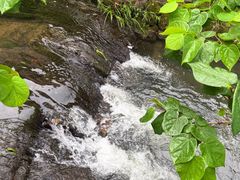 -黟县屏山村