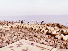 -南汇嘴观海公园